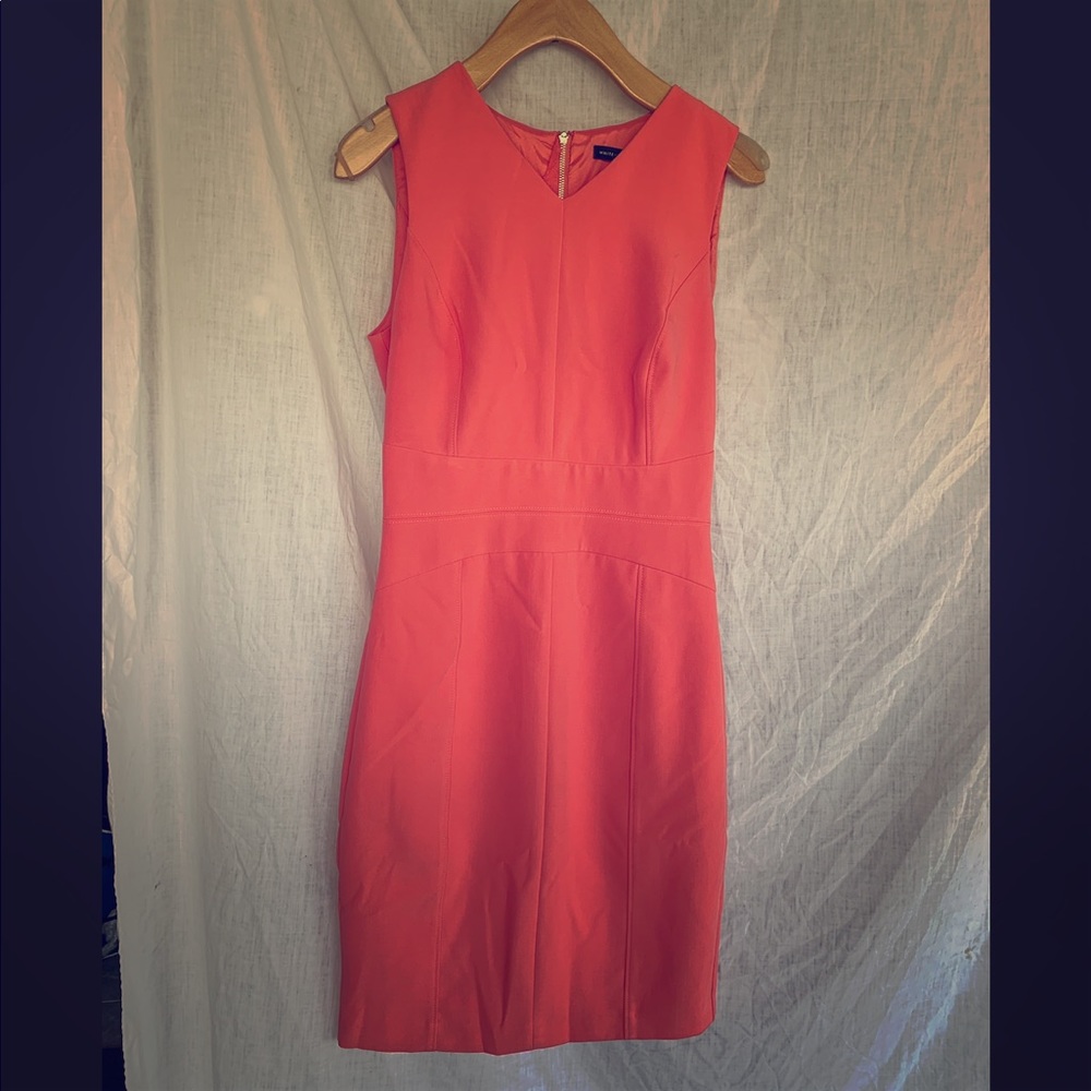 Super-Flattering Sheath in Chic Sorbet Color!